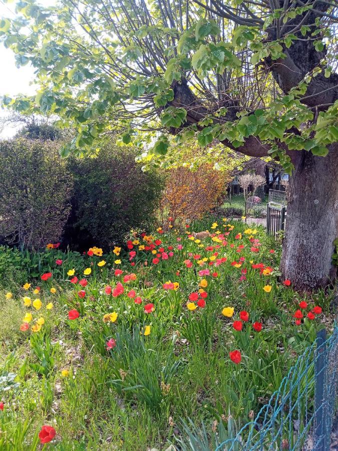 Rosalie Cottage Beaurepaire  Buitenkant foto