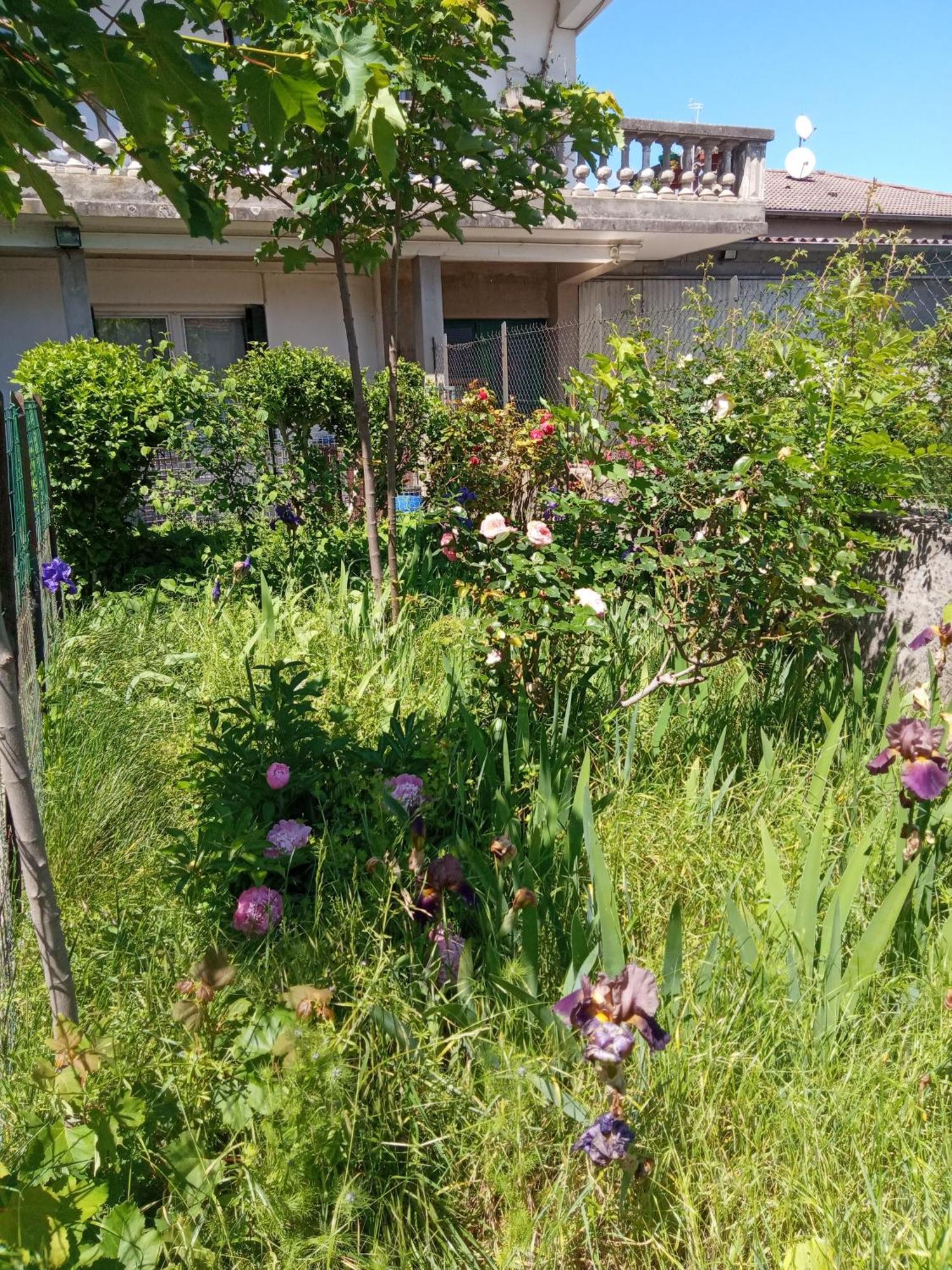 Rosalie Cottage Beaurepaire  Buitenkant foto
