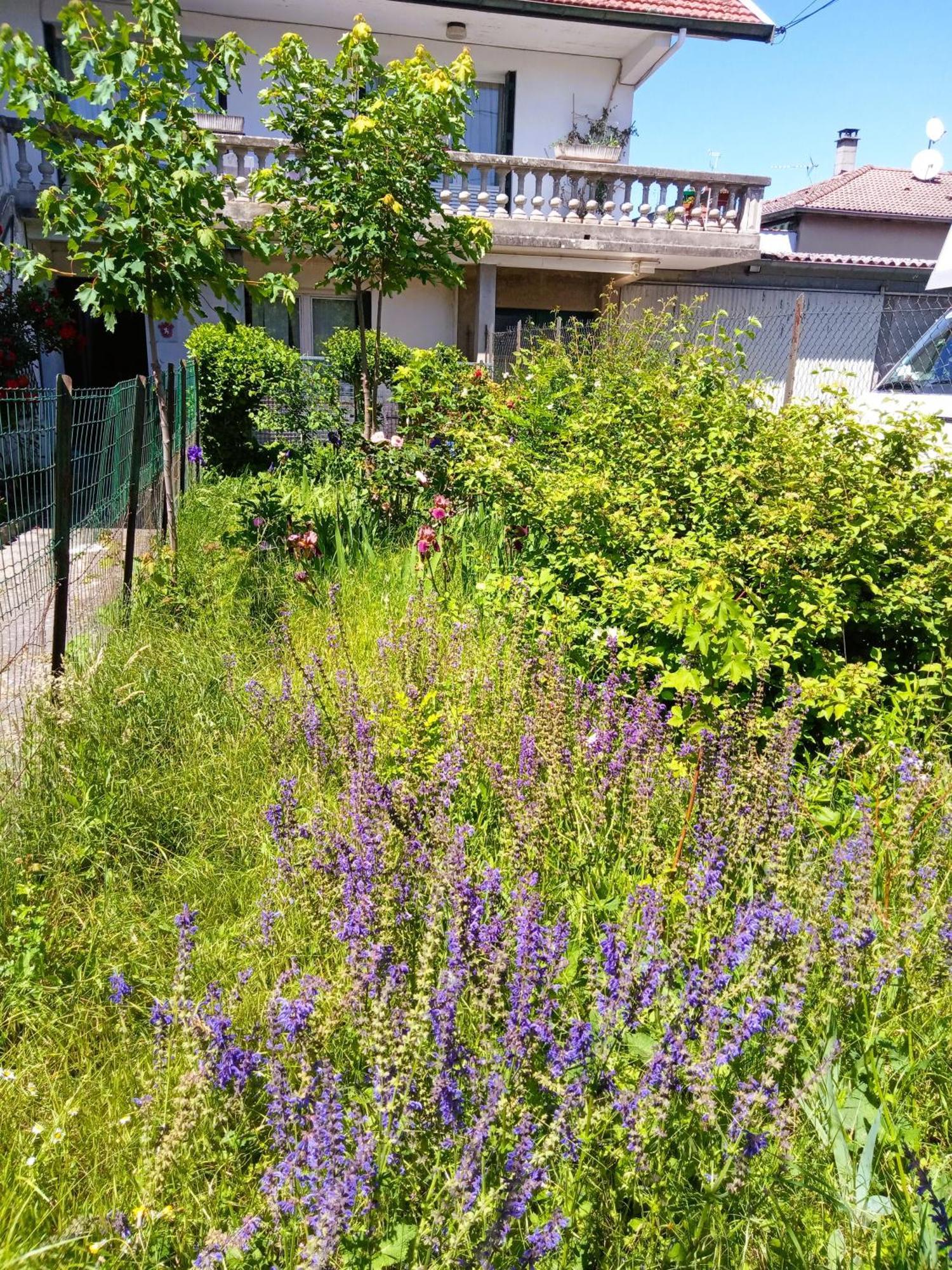Rosalie Cottage Beaurepaire  Buitenkant foto