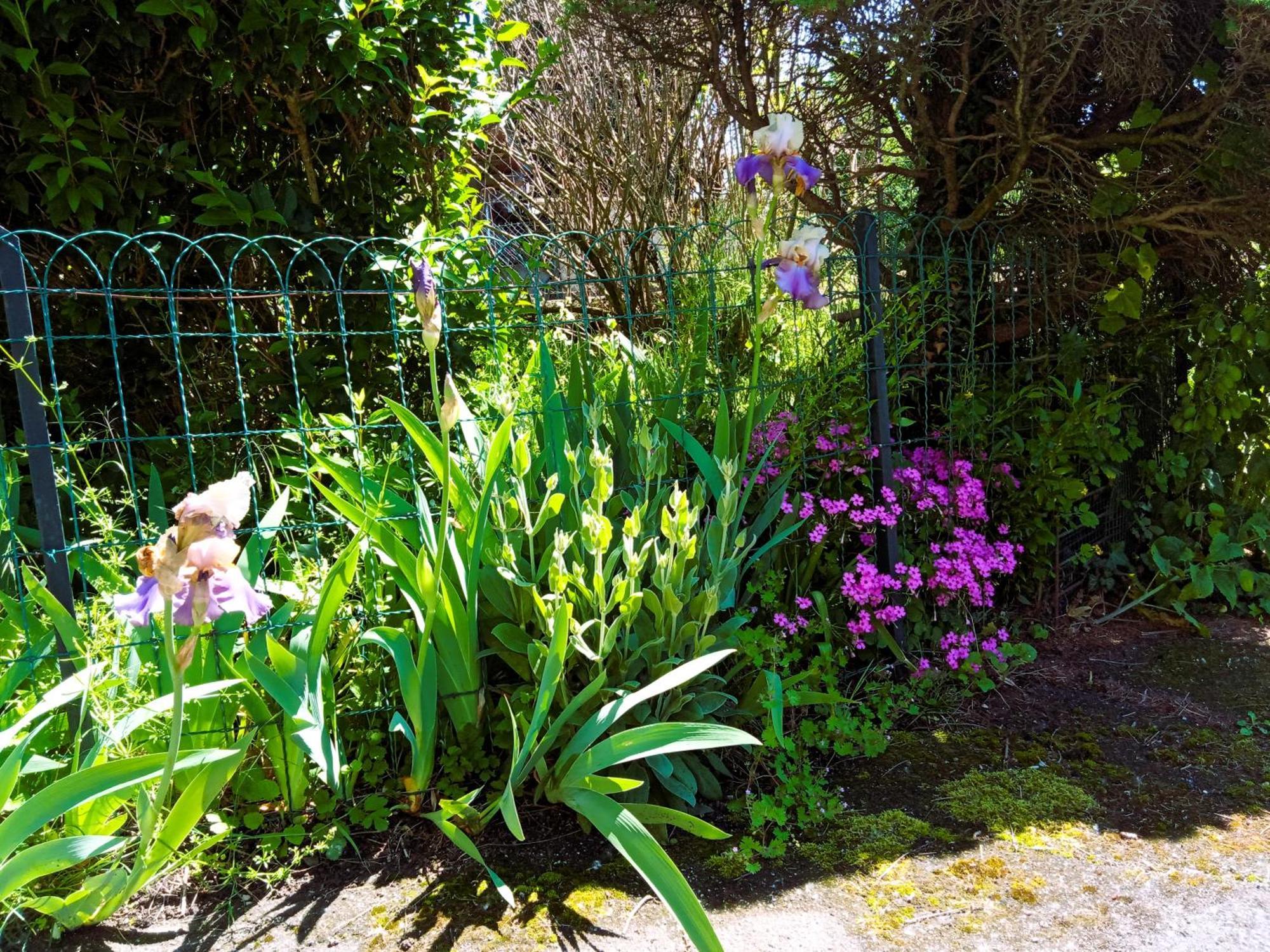 Rosalie Cottage Beaurepaire  Buitenkant foto